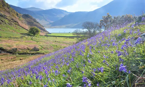 Lake District National Park