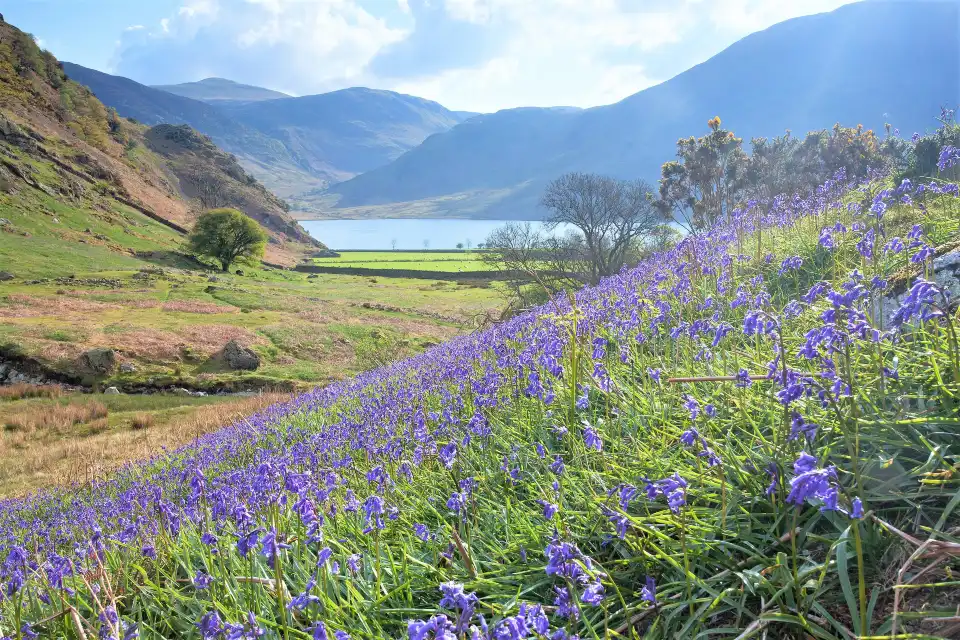 3_Lake District National Park