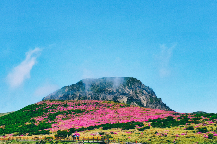 Hallasan National Park