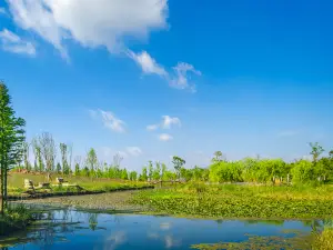 南滇池國家濕地公園
