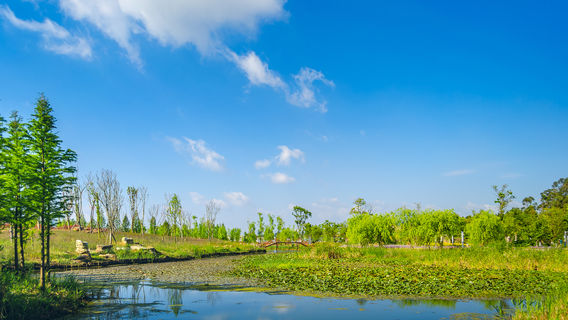 Nandianchi National Wetland Park