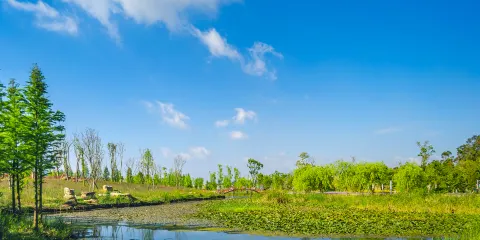 南滇池國家濕地公園