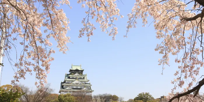 Osaka Castle Park image 2