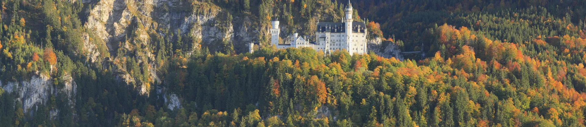 Fall Viewing Attractions