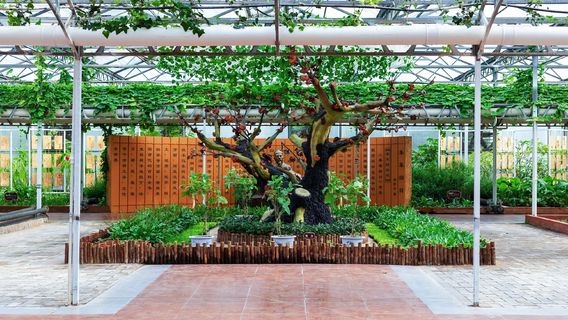 China (Shouguang) International Vegetable Sci-tech Fair