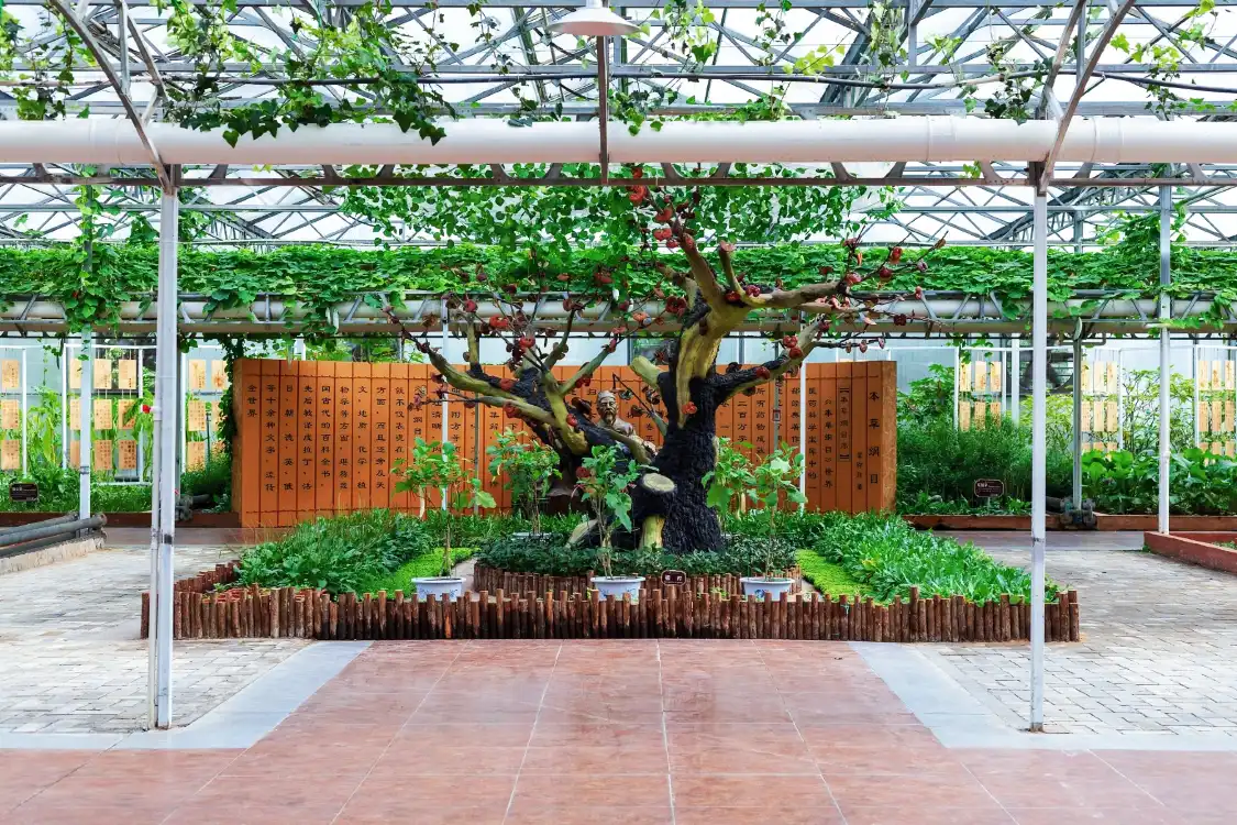 壽光菜博會附近的飯店