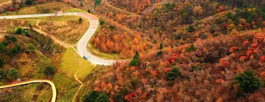 Fall Viewing Attractions