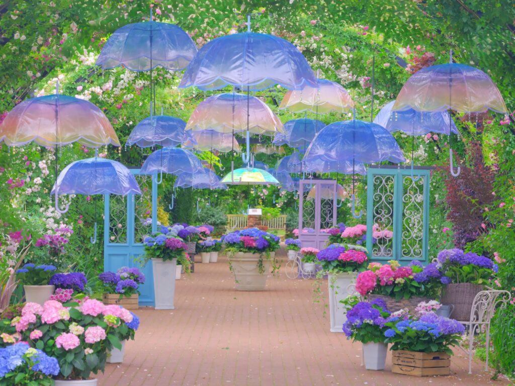 Yokohama English Garden Hydrangea Festiv | Yokohama