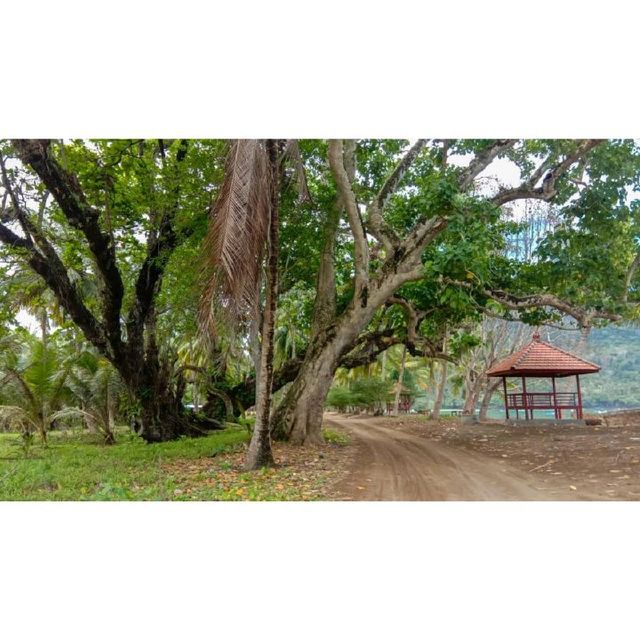 Natural Damas Beach