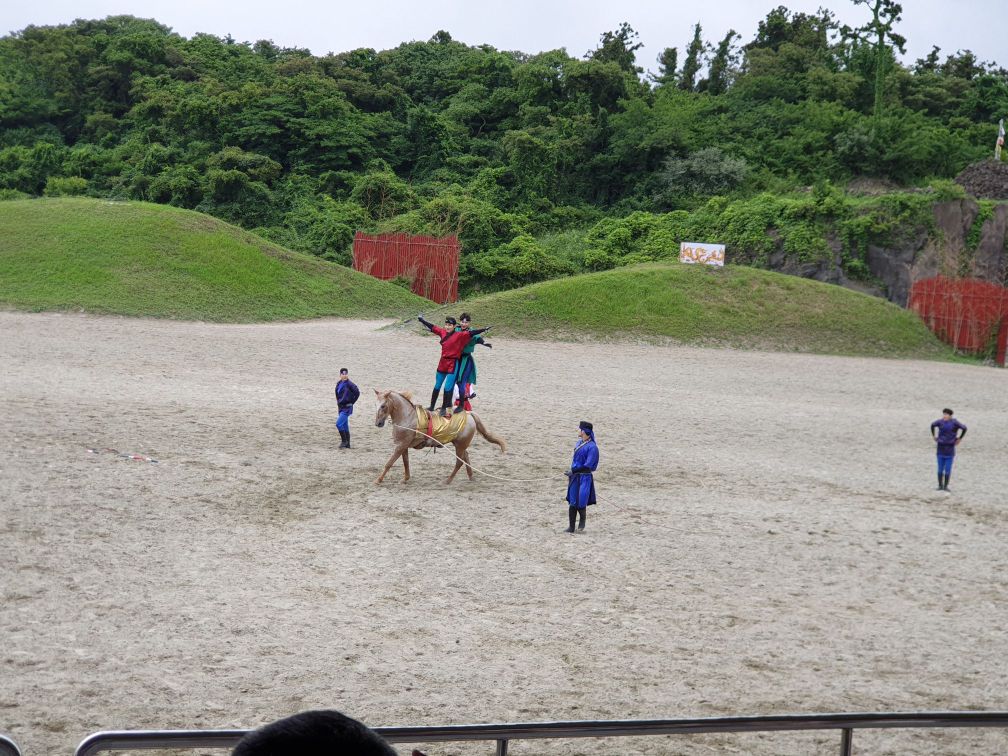 金寧迷宮公園景點評價 金寧迷宮公園門票 金寧迷宮公園優惠 金寧迷宮公園交通 地址 開放時間 金寧迷宮公園附近景點 酒店及美食 Trip Com