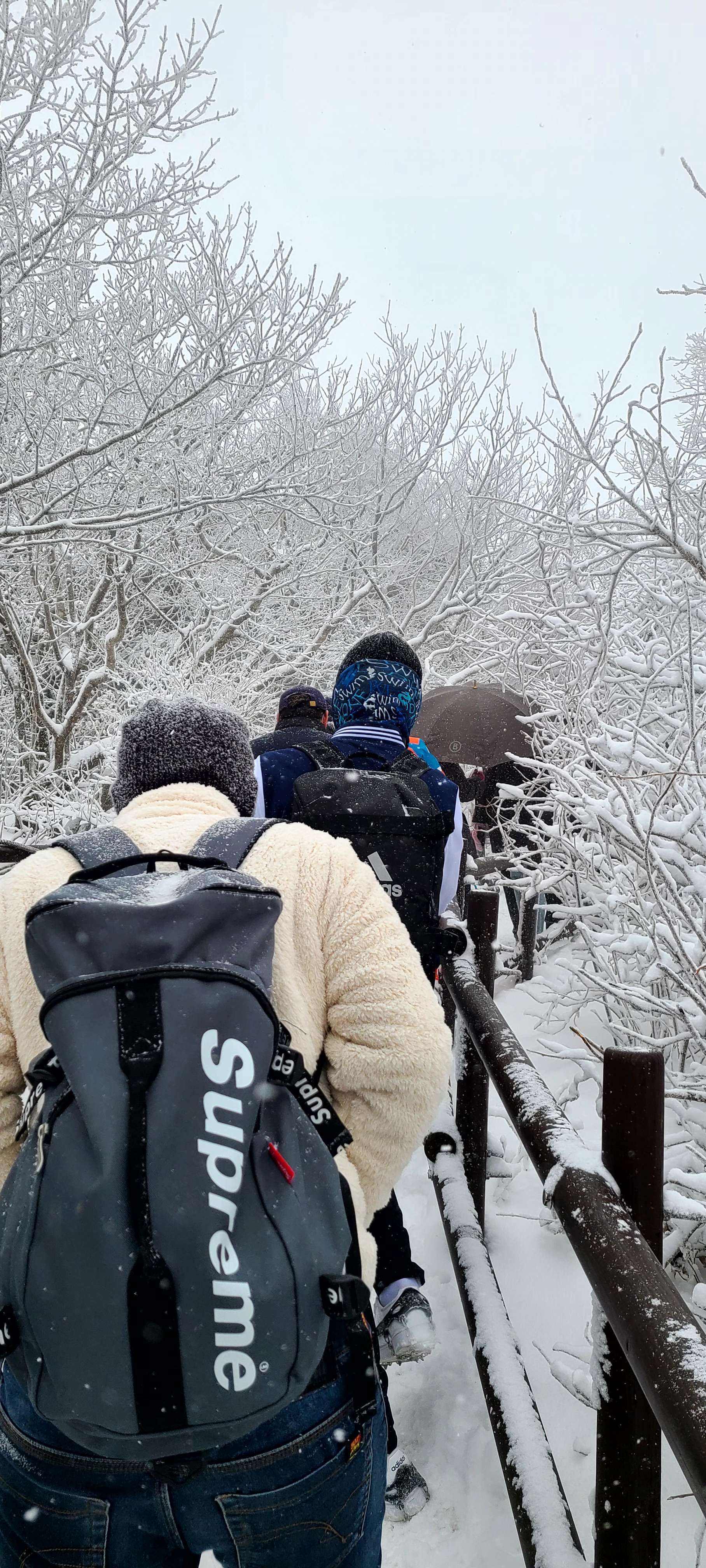 Harga Tiket Deogyusan National Park [2025] Promosi, Waktu