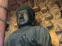 奈良が誇る世界『東大寺』