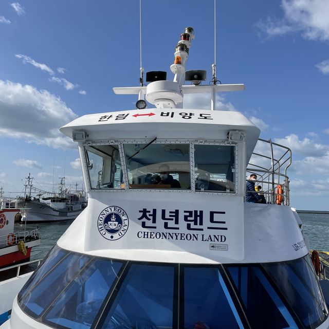 제주도에서 비양도 가는 법 
