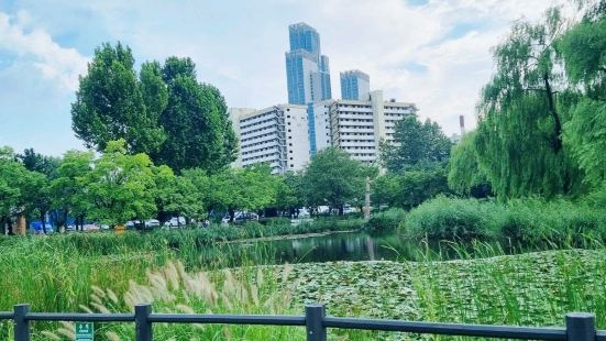 넓은 잔디밭과 예쁜 풍경이 눈을 즐겁게 해요ㅎㅎ