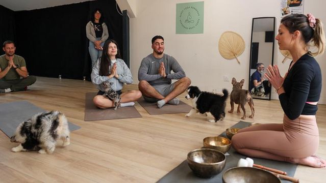 Puppy Yoga Bordeaux