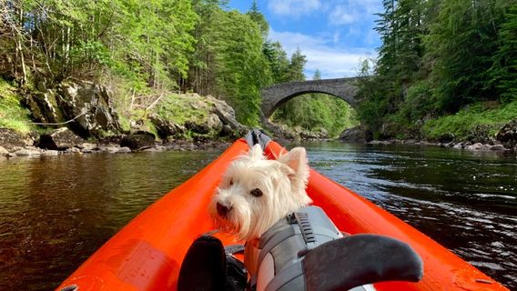 ACE Adventures & Hideaways - Activity Centre, Camping & Glamping