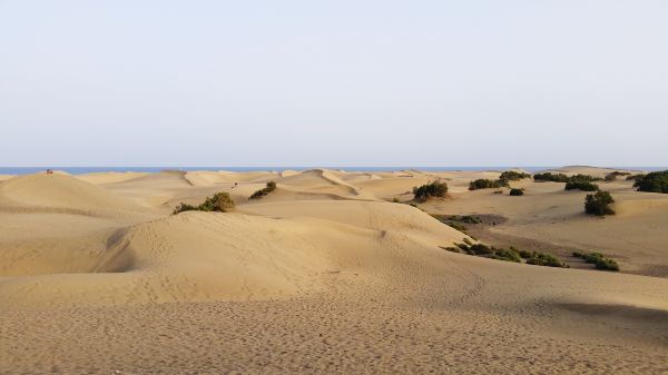 Baogutu Desert Tourist Area