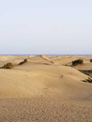 Baogutu Desert Tourist Area