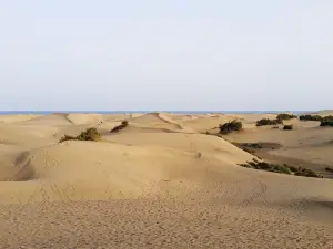 Baogutu Desert Tourist Area