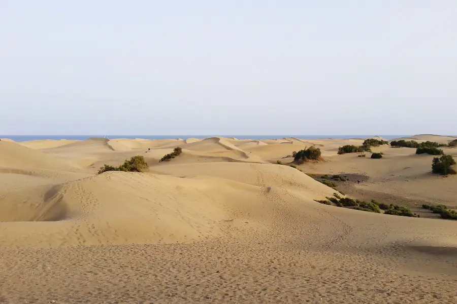 พื้นที่ท่องเที่ยวทะเลทรายเป่ากูตู