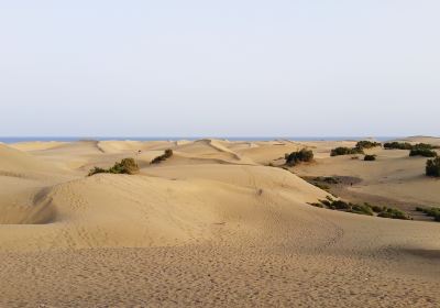 Baogutu Desert Tourist Area