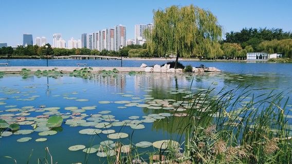 Лонг-Лук Парк