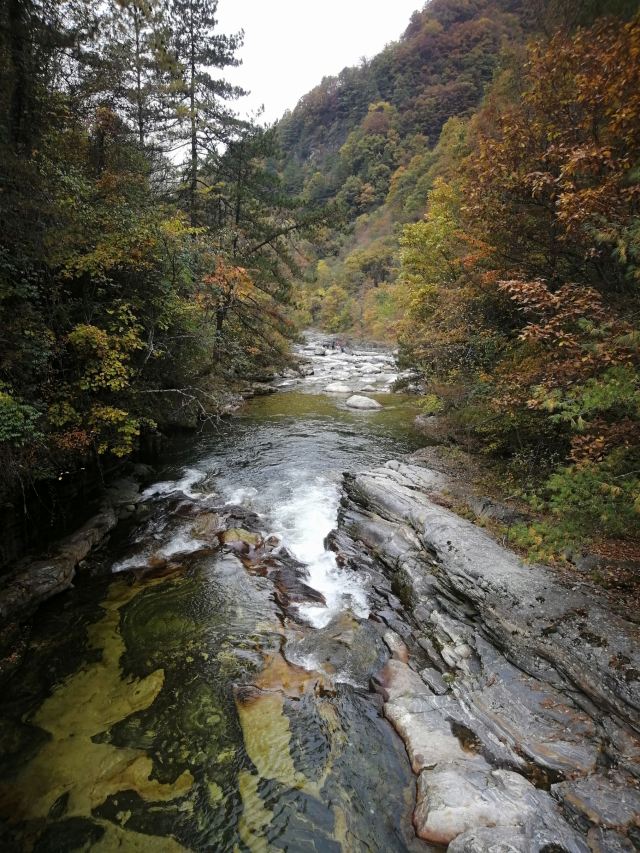 黃柏原