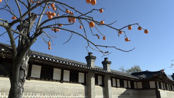 SeoulTours
