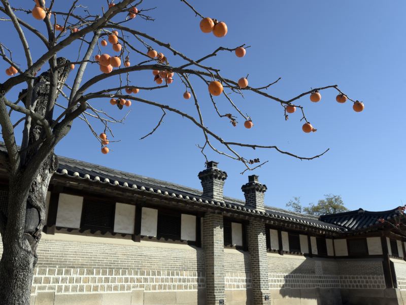 Changdeokgung