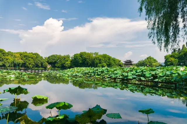 Lotus Viewing in Hangzhou