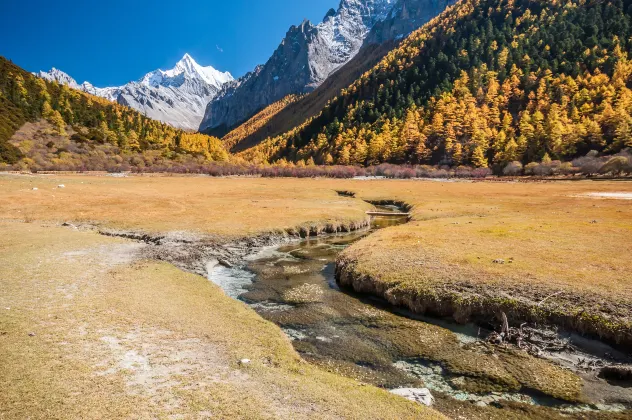 Yading Zhaxi Kongshu Tibetan Culture Theme Hotel