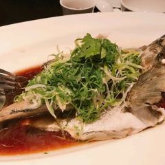 Yu Yue Lou Restaurant Cantonese Cuisine User Photo
