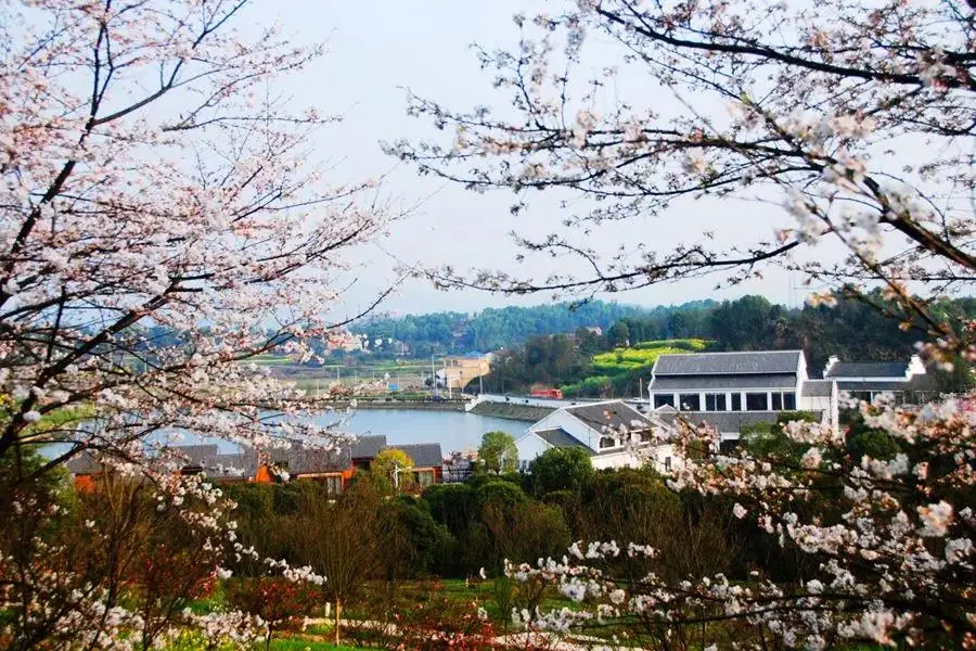 希爾寨生態農莊