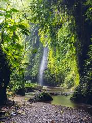 Katibawasan Falls