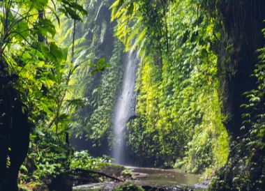 Camiguin Island