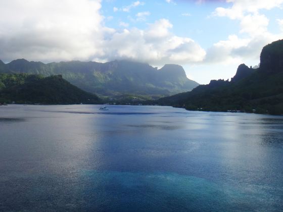 莫雷阿島