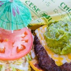 Cheeseburger In Paradise User Photo