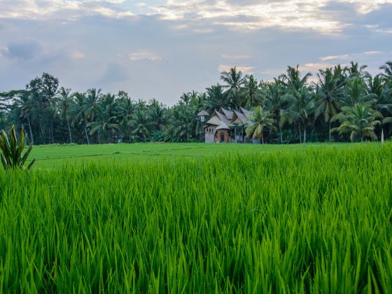 Ubud Palace