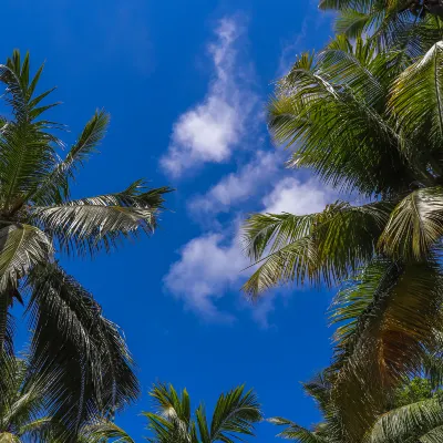 Summer Shade Maldives