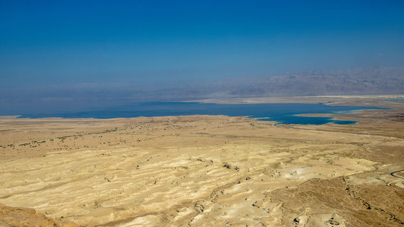 Qitai Silicon Wood-Dinosaur National Geological Park