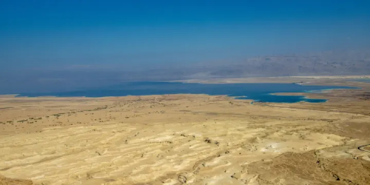 硅化木恐龍國家地質公園