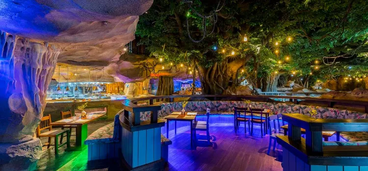 Rainforest  Restaurant