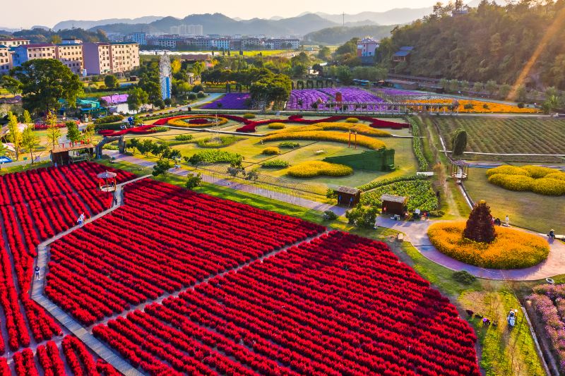 Mafan Agricultural Wonderland