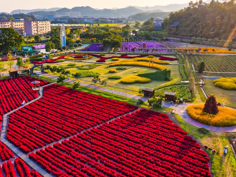 Mafan Agricultural Wonderland