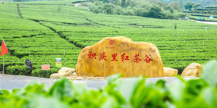 積慶里紅茶谷