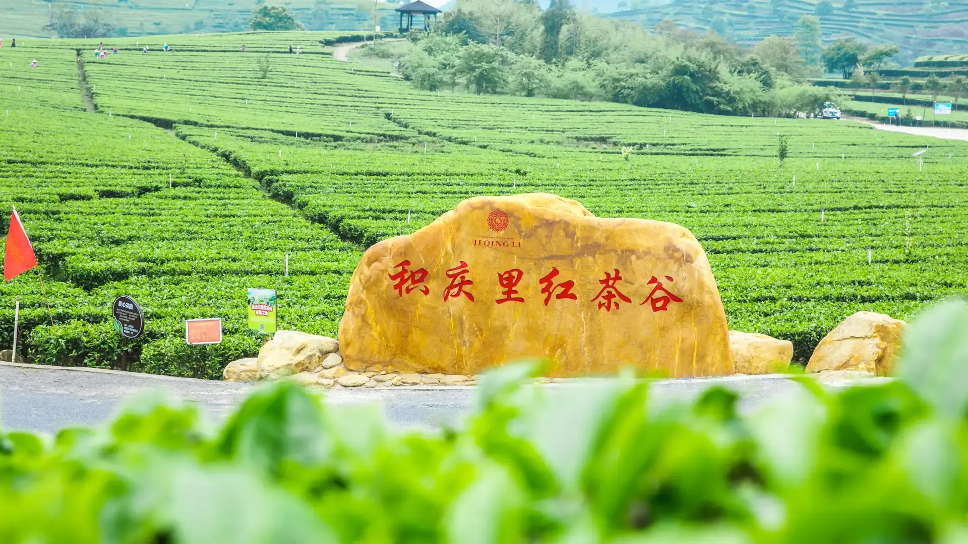 Hotels near Jiqingli Black Tea Valley