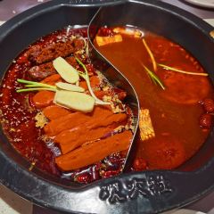 火社火锅(人民广场店) User Photo