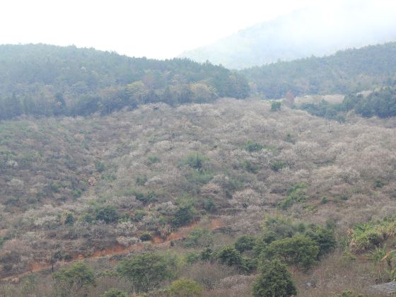 Guangdonglianghua National Forest Park