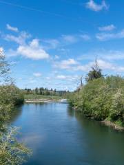 Bogachiel River