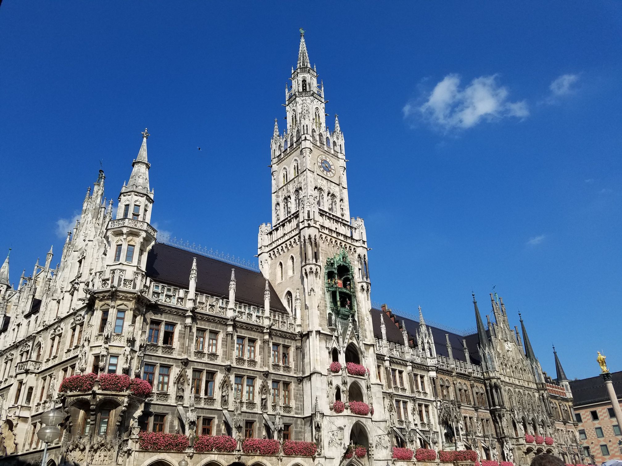 New Town Hall Places To Visit Review - New Town Hall Tickets - New Town Hall Discounts - New Town Hall traffic, address,